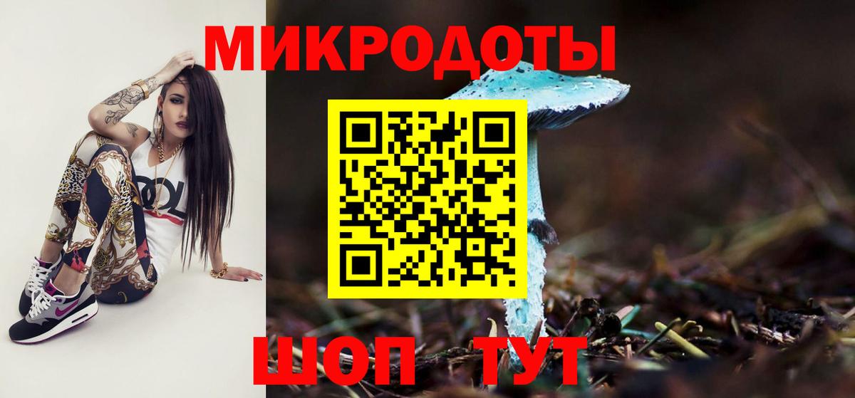 Галлюциногенные грибы Psilocybine cubensis Крымск